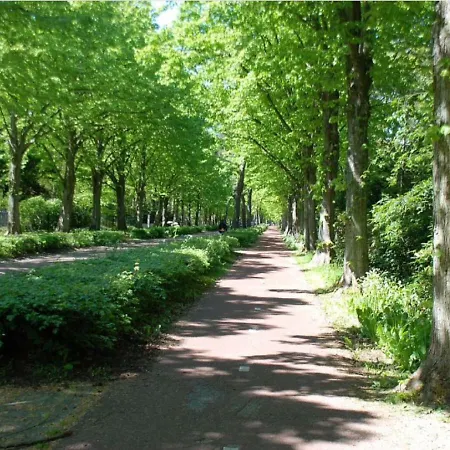 Luxe Duinsuite Daire *