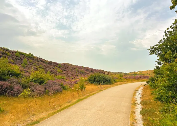 Luxe Duinsuite * Грут