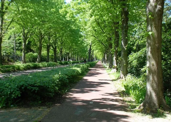 Luxe Duinsuite Апартаменты *